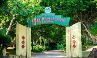 Hàng trăm người tích cực tìm kiếm nam du khách đi lạc trong Vườn quốc gia Cúc Phương