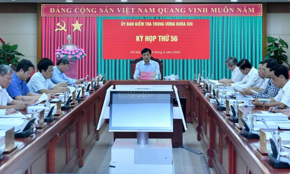  Bộ Chính trị, Ban Bí thư thi hành kỷ luật tổ chức đảng, đảng viên vi phạm