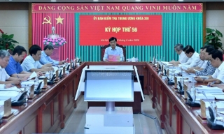 Bộ Chính trị, Ban Bí thư thi hành kỷ luật tổ chức đảng, đảng viên vi phạm