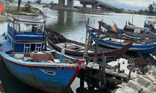 Ban Bí thư chỉ đạo ứng phó với cơn bão số 5 (Kajiki)