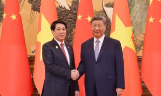 Chủ tịch nước Lương Cường hội đàm với Tổng Bí thư, Chủ tịch Trung Quốc Tập Cận Bình