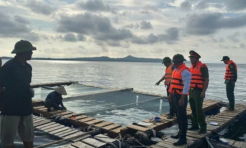  Thường trực Ban Bí thư chỉ đạo ứng phó bão số 9