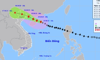 Tin bão khẩn cấp, cơn bão số 11