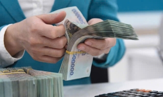 Khẩn trương hoàn thành đề xuất phương án sắp xếp đơn vị sự nghiệp; hoàn thiện Đề án tiền lương, phụ cấp