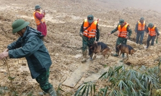 Hàng trăm cán bộ, chiến sĩ và chó nghiệp vụ vào hiện trường tìm kiếm các nạn nhân nghi bị vùi lấp do sạt lở núi tại xã Hùng Sơn