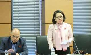 Nhiều đại biểu ủng hộ xây dựng Cảng hàng không quốc tế Gia Bình với tiêu chuẩn 5 sao