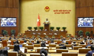 Hôm nay (20/11), Quốc hội dành cả ngày thảo luận về sửa đổi, bổ sung một số điều của Luật Giáo dục