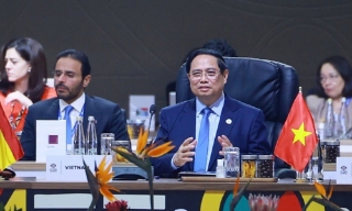 Thủ tướng Phạm Minh Chính đề xuất G20 cần đi đầu trong xây dựng cơ chế hợp tác quốc tế tôn trọng lẫn nhau