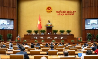 Tuần này, Quốc hội thảo luận về cơ chế tháo gỡ khó khăn, vướng mắc thi hành Luật Đất đai