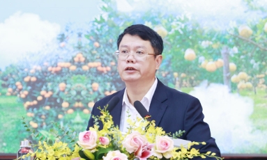  Bắc Ninh: Tập trung nâng cao chất lượng dịch vụ và phát triển sản phẩm đặc trưng