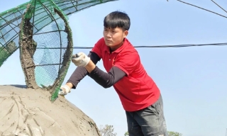 9X Bắc Ninh đam mê làm linh vật Tết thân thiện, đáng yêu