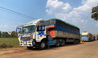 Thủ tướng chỉ đạo tháo gỡ vướng mắc trong triển khai Nghị định 46/2026/NĐ-CP về an toàn thực phẩm