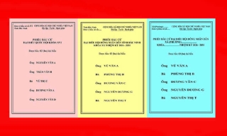Quy định màu sắc phiếu bầu cử đại biểu Quốc hội khóa XVI và HĐND các cấp, nhiệm kỳ 2026-2031