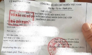 Nguy cơ lộ lọt thông tin cá nhân khi đăng thẻ cử tri lên mạng xã hội