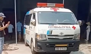 Chủ nhà bị chó becgie cắn tử vong