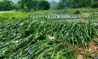 Thủ tướng chỉ thị tăng cường công tác phòng, chống thiên tai