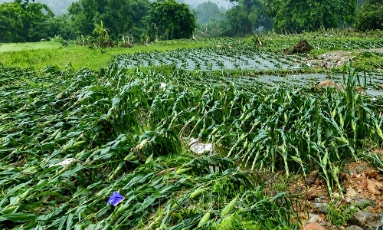  Thủ tướng chỉ thị tăng cường công tác phòng, chống thiên tai