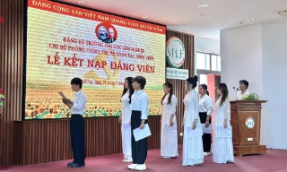 Hướng dẫn mới của Ban Bí thư về thi hành Điều lệ Đảng
