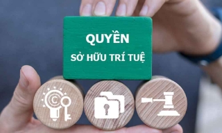 Kết luận của Bộ Chính trị về đẩy mạnh công tác sở hữu trí tuệ phục vụ phát triển kinh tế - xã hội trong tình hình mới