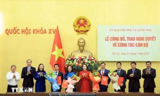 Công bố, trao Nghị quyết của Ủy ban Thường vụ Quốc hội về công tác cán bộ