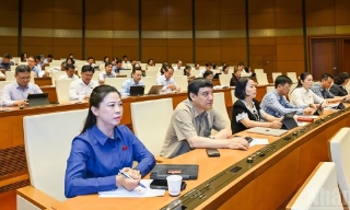 Đề xuất cắt giảm 40 thủ tục, 40 điều kiện kinh doanh lĩnh vực nông nghiệp và môi trường