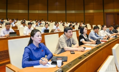  Đề xuất cắt giảm 40 thủ tục, 40 điều kiện kinh doanh lĩnh vực nông nghiệp và môi trường