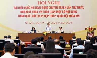   Đánh giá kỹ lưỡng về mức phạt tiền và các biện pháp cưỡng chế thi hành quyết định xử phạt hành chính