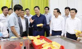 Chủ tịch UBND tỉnh Vương Quốc Tuấn thăm, làm việc tại một số doanh nghiệp chế biến nông sản