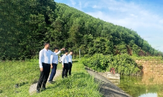 Đại Sơn làm giàu từ mô hình kinh tế xanh