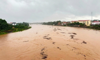 Bắc Ninh: Phát lệnh báo động số II trên sông Lục Nam và sông Thương