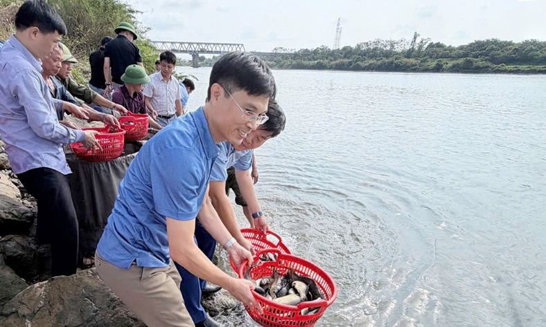  Bắc Ninh: Thả 60.000 con cá giống tái tạo nguồn lợi thuỷ sản