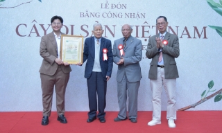 Công nhận 12 Cây di sản Việt Nam tại khu nghỉ dưỡng Senna Wellness Retreat ở phường Vũ Ninh