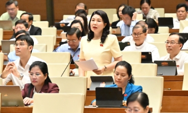  Phó Trưởng Đoàn đại biểu Quốc hội tỉnh Bắc Ninh Trần Thị Vân: Cần chuyển đổi tư duy từ "quản lý văn hóa" sang "phát triển kinh tế văn hóa"