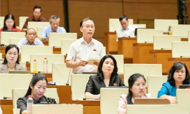  Đại biểu Trần Văn Tuấn: Cần đơn giản hóa, tiền tệ hóa chính sách hỗ trợ khi thu hồi đất