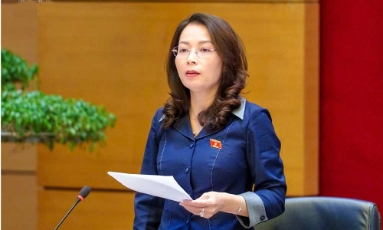  Đoàn đại biểu Quốc hội thành phố Bắc Ninh thảo luận nhiều dự án luật trọng điểm