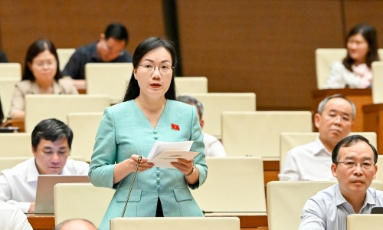   Đại biểu Đỗ Thị Việt Hà (Đoàn đại biểu Quốc hội tỉnh): Đề nghị mở rộng đối tượng được hỗ trợ tiếp cận thông tin