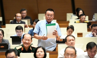 Đại biểu Nguyễn Như So: Phát triển kinh tế tư nhân là lựa chọn chiến lược