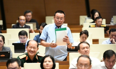  Đại biểu Nguyễn Như So: Phát triển kinh tế tư nhân là lựa chọn chiến lược