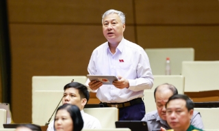 Đại biểu Trần Văn Lâm: Cần hài hòa giữa đưa lao động ra nước ngoài và nhân lực trong nước
