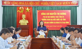 Phó Bí thư Thường trực Tỉnh ủy Nguyễn Thị Hương làm việc với Ban Thường vụ Đảng ủy xã Đại Đồng