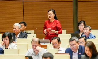 Đại biểu Đỗ Thị Việt Hà: Đề nghị nghiên cứu kỹ quy định về thời hạn kháng nghị trong thi hành án dân sự 