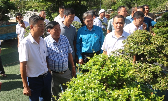 Bắc Ninh:  Chuẩn bị trưng bày tác phẩm sinh vật cảnh, thả chim bồ câu hòa bình 