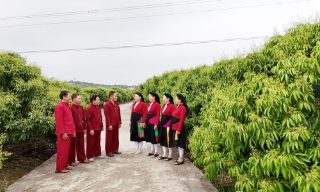 Bắc Ninh: Dặt dìu câu hát Soọng cô 